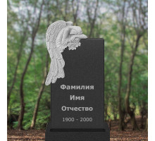 Памятник В113